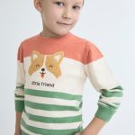 Camisola Cão